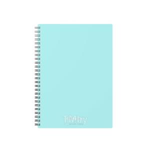 Тетрадь А5 80л клетка спираль ПОЛИНОМ Pastel Collection Mint пластиковая обложка, арт. 3402