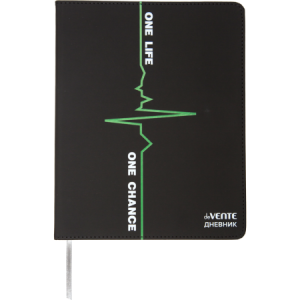 Дневник 1-11 класс интегральная обложка искусственная кожа deVENTE Street Style, арт. 2020595