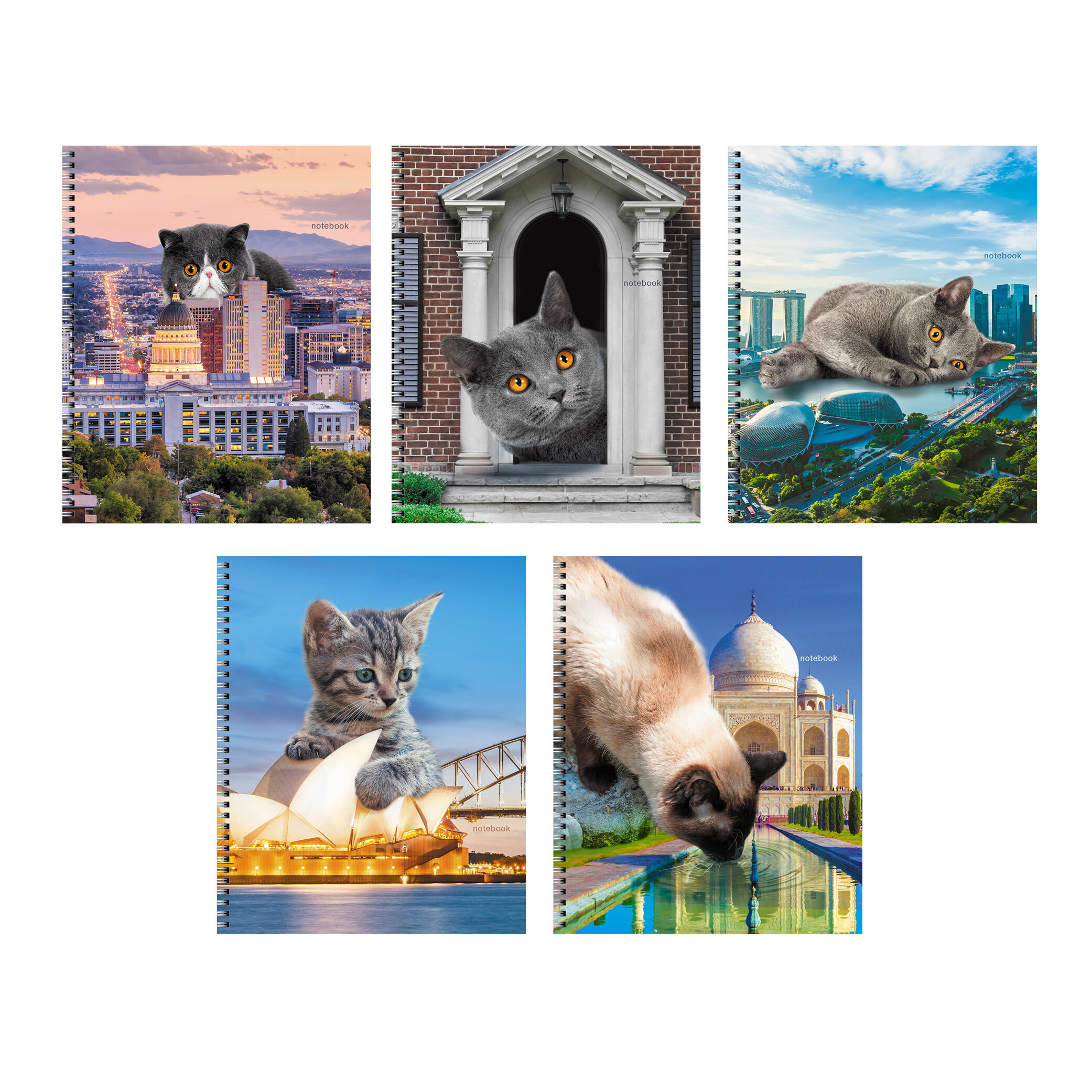 Тетрадь А5 60л линия спираль LISTOFF Коты в городе, арт. ТС608567