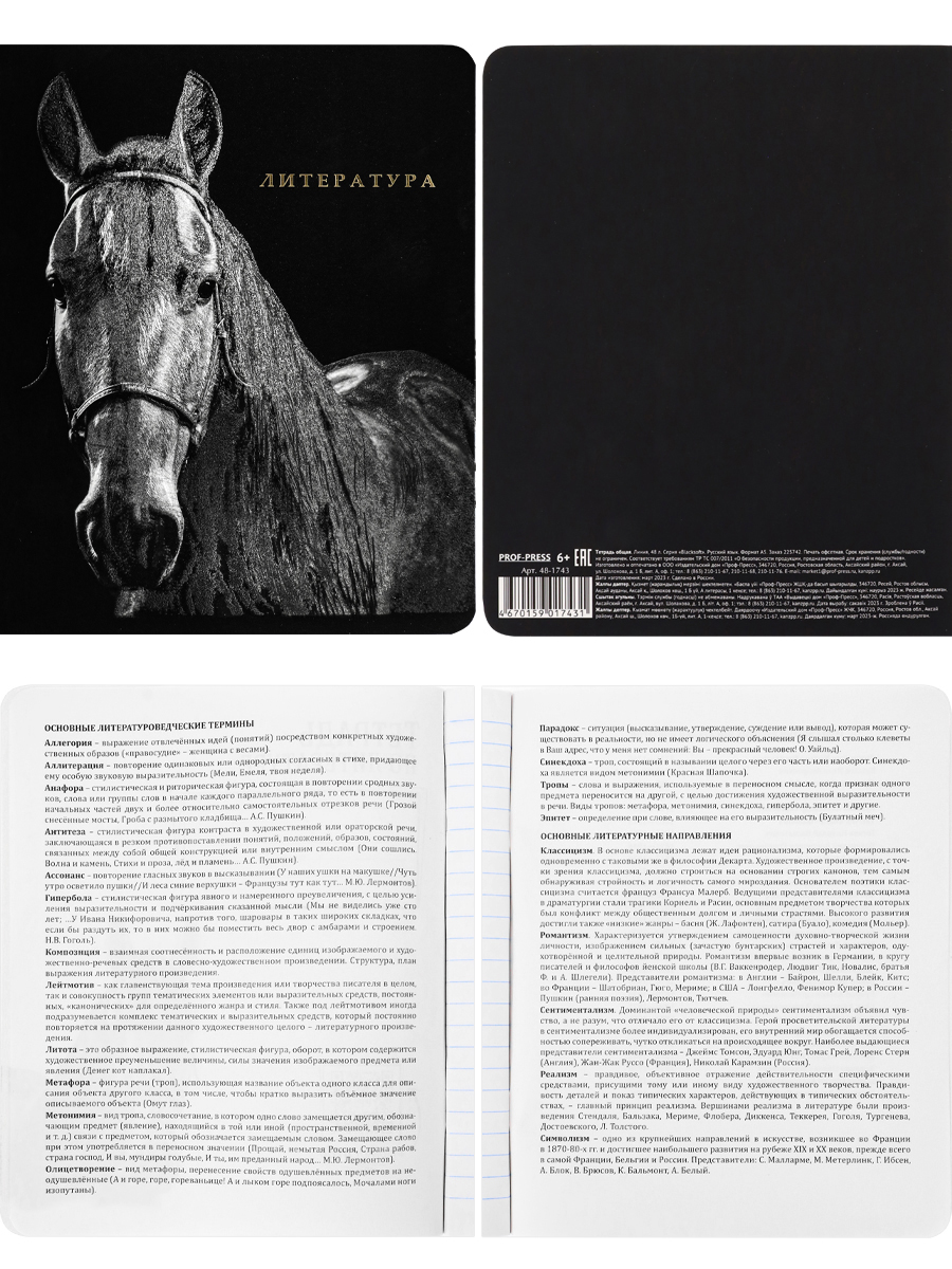 Тетрадь предметная комплект 12шт 48л ПРОФ-ПРЕСС BLACKSOFT, арт. 48-1744