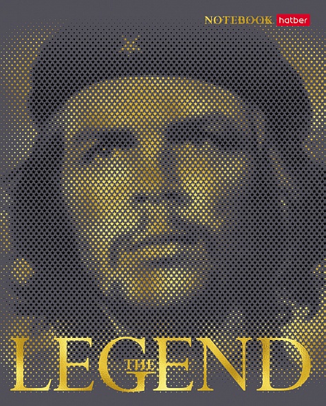 Тетрадь А5 96л клетка ХАТБЕР Я-Легенда ассорти, арт. 96Т5В1_29598