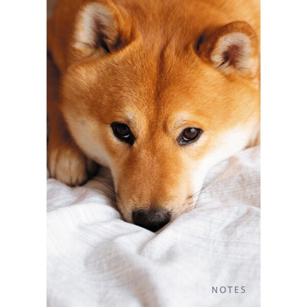 Блокнот А5 100л клетка/точка LISTOFF Пушистый напарник soft touch твердая обложка, арт. КЗ51003515