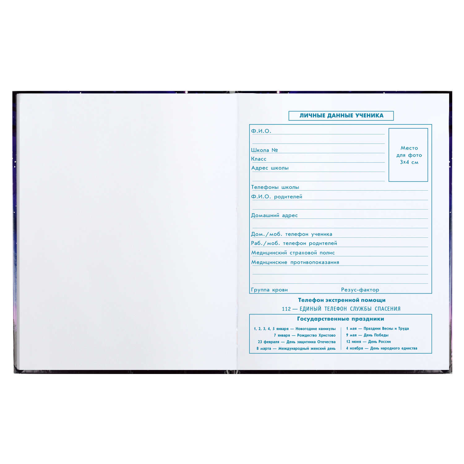 Дневник 1-4 класс твердая обложка ФЕНИКС Феечки, арт. 63226