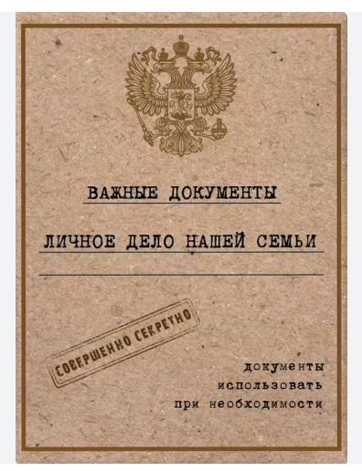 Папка с вкладышами для ОМС/СВИД-В/СНИЛС ФЕНИКС Личное дело, арт. 84541