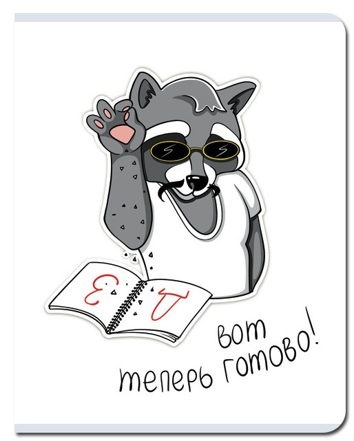 Тетрадь А5 48л клетка FINE BOOKS ДЗ готово!, арт. FB426