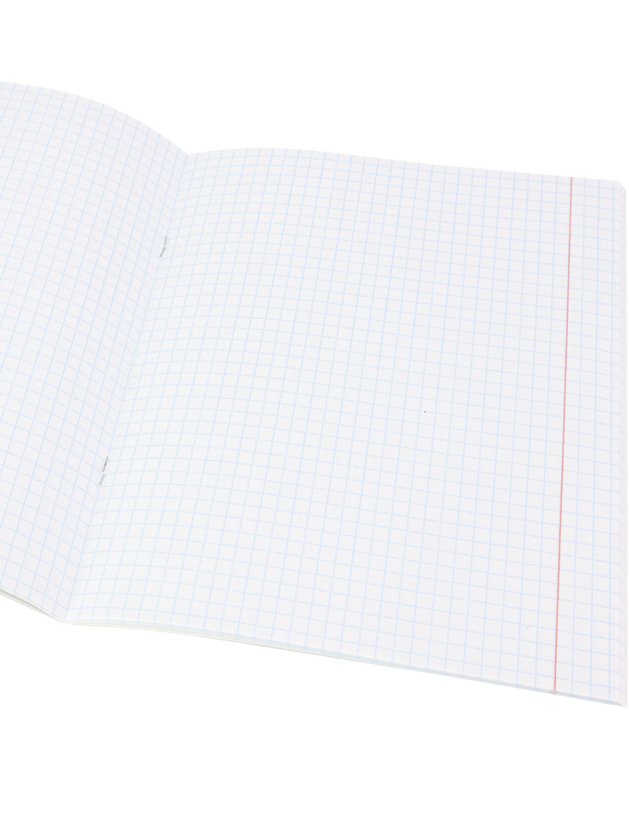 Тетрадь предметная Физика 48листов клетка ПРОФ-ПРЕСС Школьные мемасики, арт. 48-9658