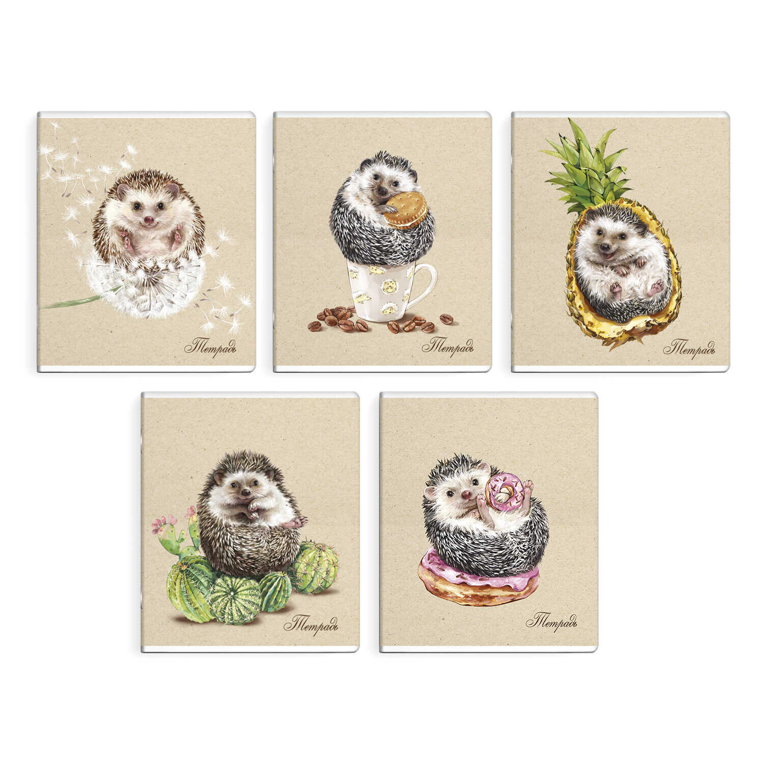 Тетрадь А5 48л клетка ФЕНИКС Ежики ассорти, арт. 56676