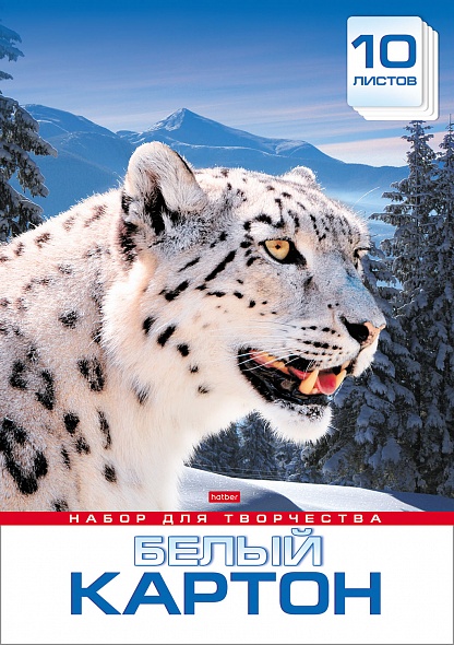 Картон белый мелованный А3 10листов ХАТБЕР Снежный барс, арт. 10Кб3_11345