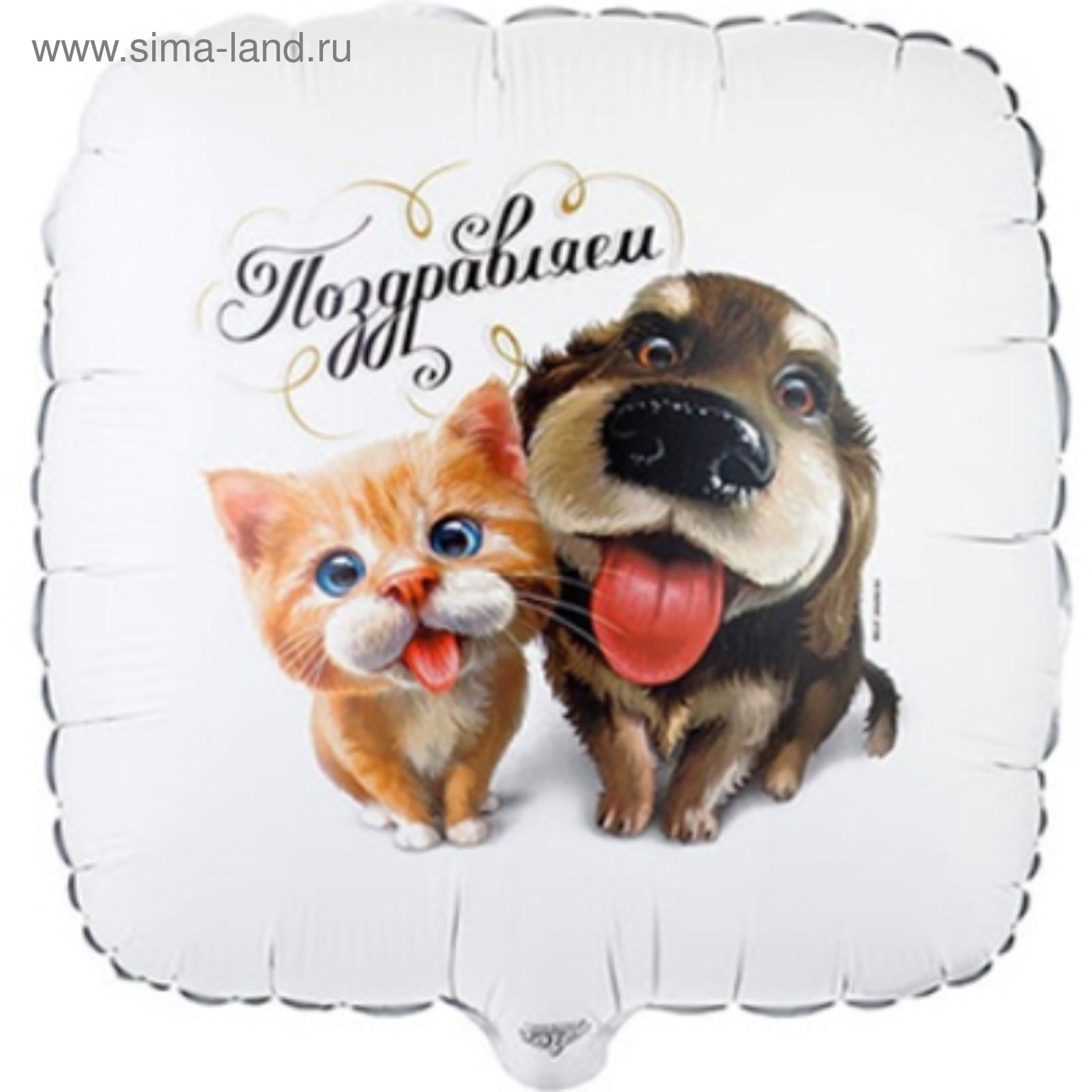 Шар фольгированный 18" Поздравляем ВЕСЕЛАЯ ЗАТЕЯ Питомцы, арт. 5226210