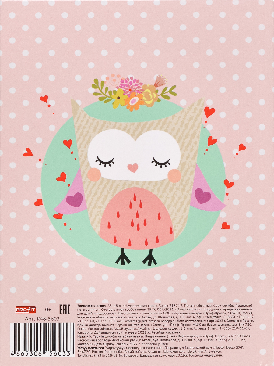 Записная книжка А5 40л клетка ПРОФ-ПРЕСС Мечтательная сова твердая обложка, арт. К48-5603