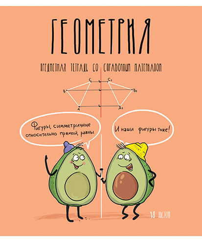 Тетрадь предметная Геометрия 48л клетка ПЗБМ Авокадики, арт. 029227