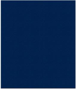 Тетрадь А5 96л клетка ПОЛИНОМ бумвинил синяя, арт. 25122