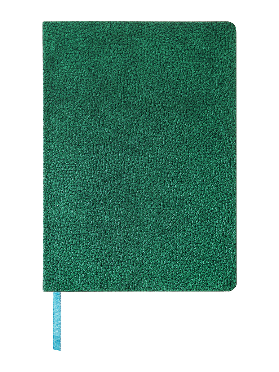 Ежедневник недатированный А5 ПОЛИНОМ Kiwi иск кожа зеленый срез светло-зеленый, арт. 3179