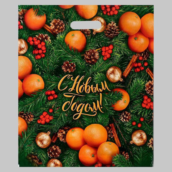 Пакет полиэтиленовый с пробивной ручкой 40*47 Спелая зима, арт. 5193307