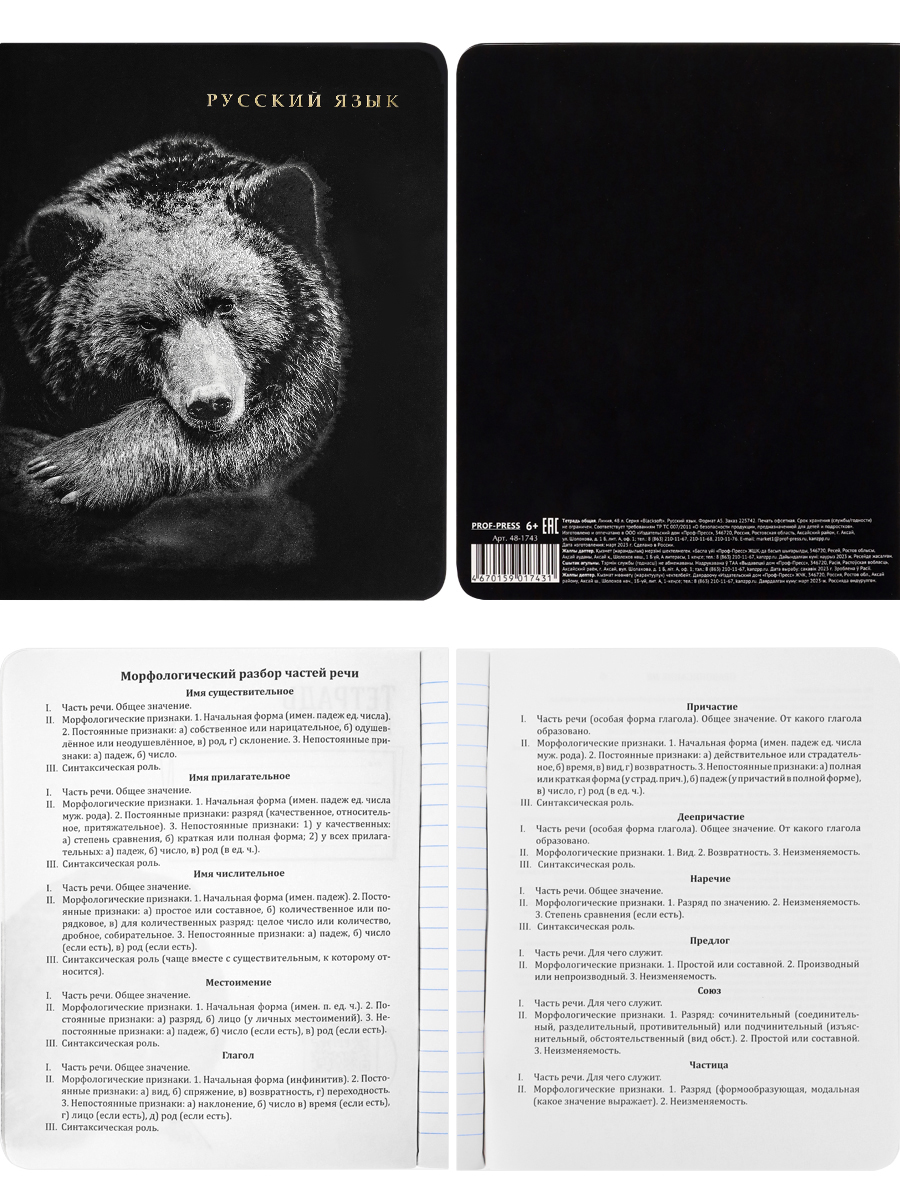 Тетрадь предметная комплект 12шт 48л ПРОФ-ПРЕСС BLACKSOFT, арт. 48-1744