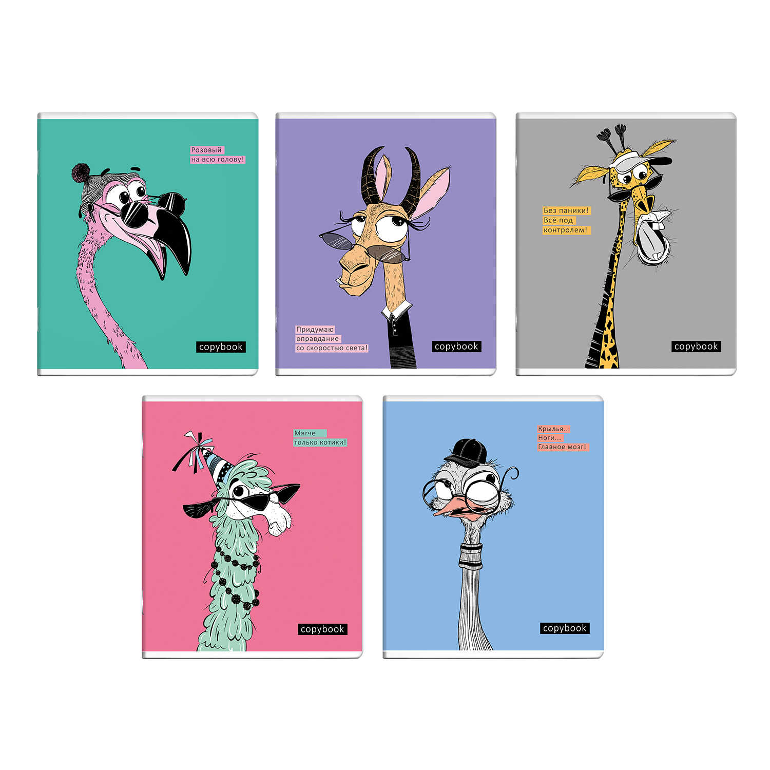 Тетрадь А5 48л клетка ФЕНИКС Длинные мысли ассорти, арт. 63703