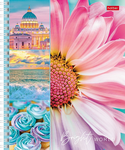 Тетрадь А5 80л клетка спираль ХАТБЕР Яркая жизнь ассорти, арт. 80Т5В1гр