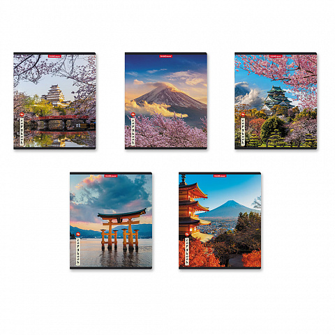 Тетрадь А5 96л клетка ERICH KRAUSE Mysterious Japan ассорти, арт. 58292