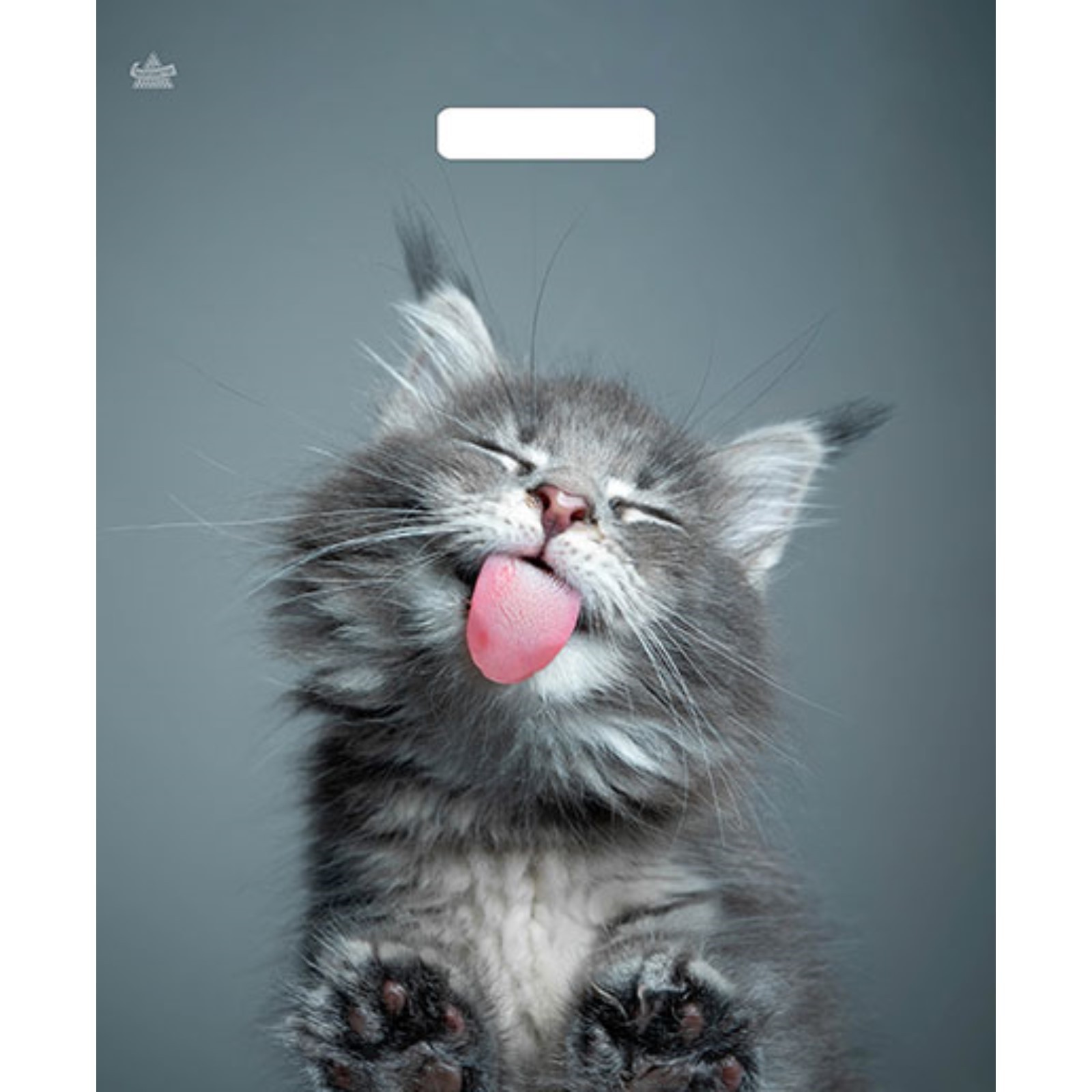 Пакет полиэтиленовый пробивные ручки 38*45 ТИКОПЛАСТИК Кот , арт. 7669439