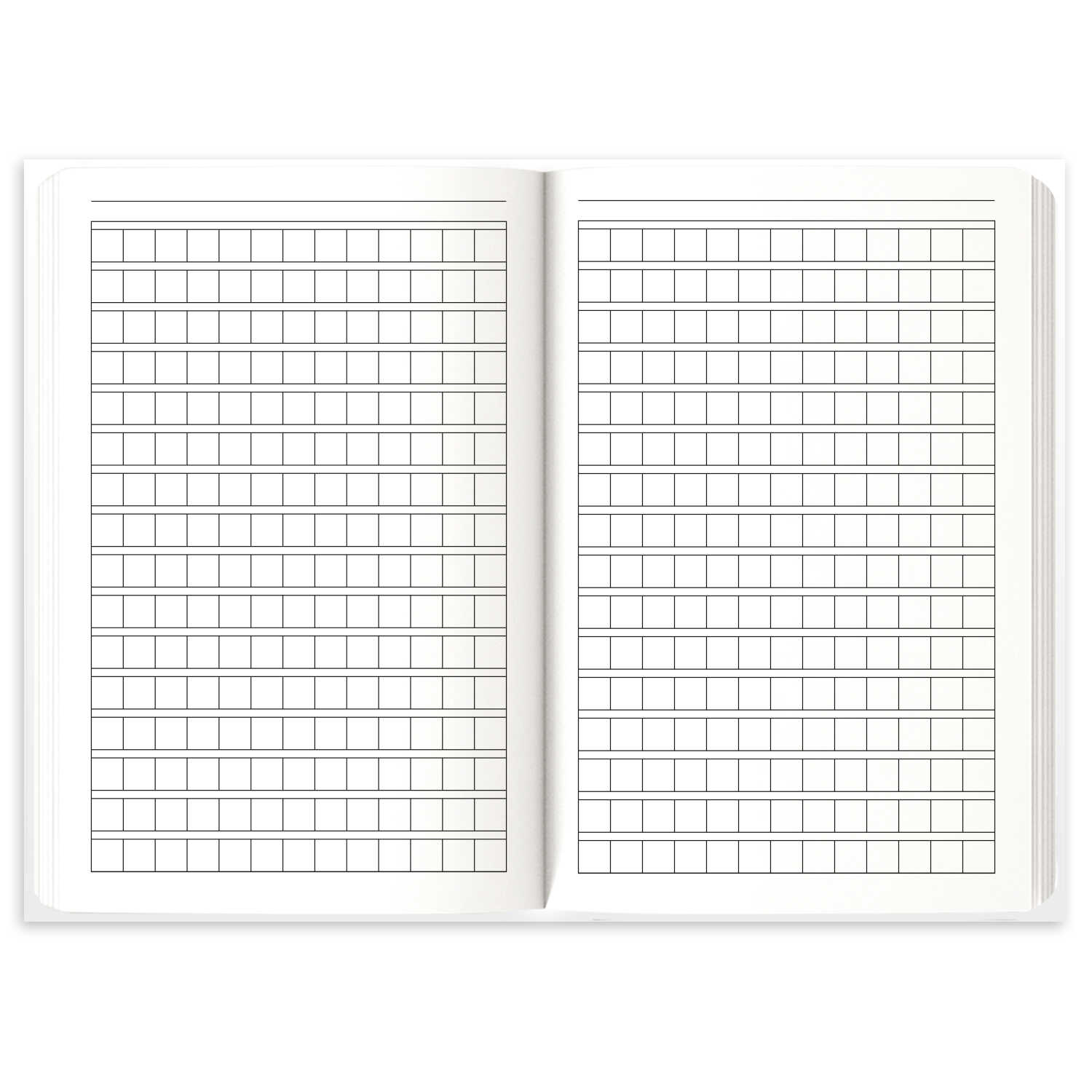 Тетрадь для записи иероглифов А5 24л ФЕНИКС Ниндзя , арт. 65086