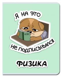 Тетрадь предметная Физика 48л клетка FINE BOOKS Sticker, арт. FB242