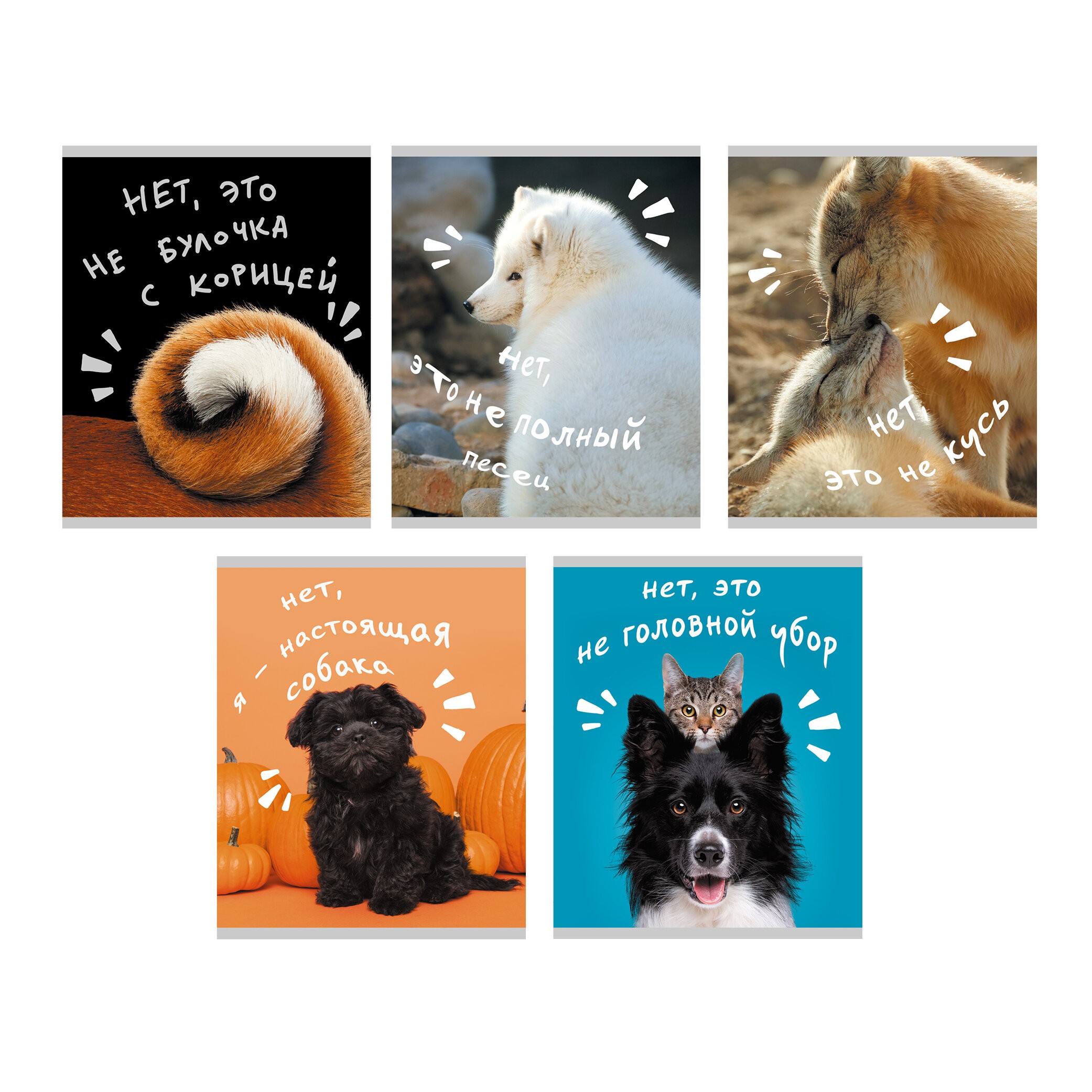 Тетрадь А5 96л клетка LISTOFF Показалось ассорти, арт. ТК968328