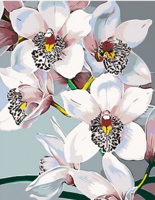 Картина по номерам с акриловыми красками 40*50 Орхидея NN, арт. GX43805