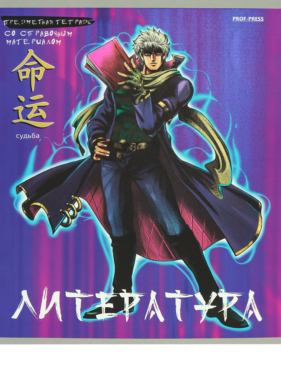 Тетрадь предметная Литература 48л линия ПРОФ-ПРЕСС Аниме, арт. 48-9428