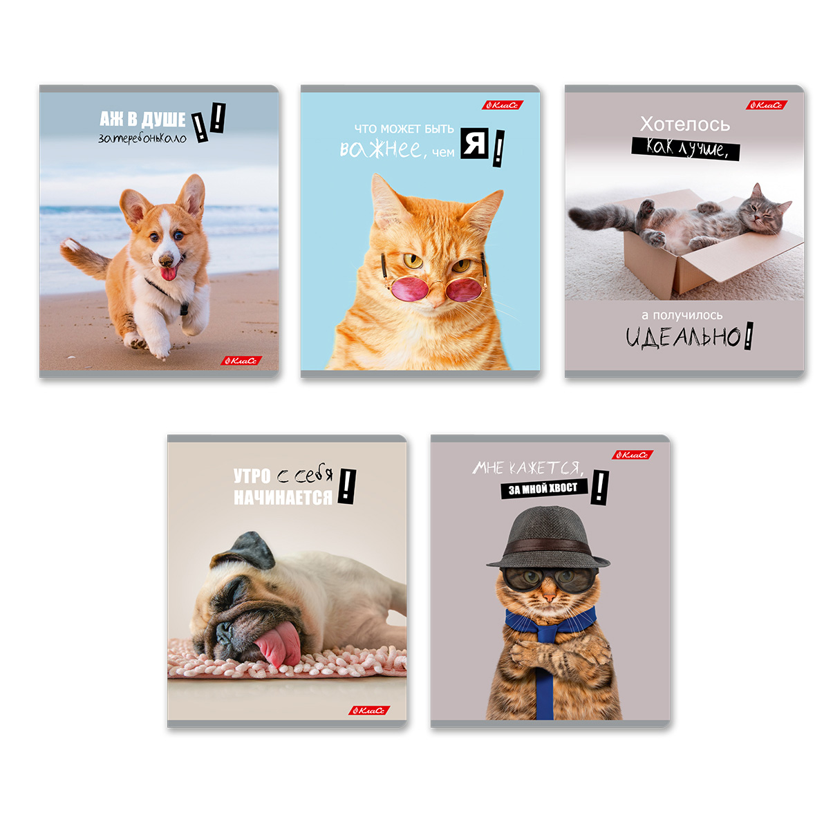 Тетрадь А5 48л клетка СВЕТОЧ Смешные и шерстяные, арт. 48ТЕТк-001 000752