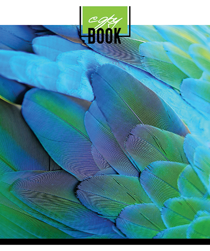 Тетрадь А5 48л клетка ПЗБМ Текстуры ассорти, арт. 028522