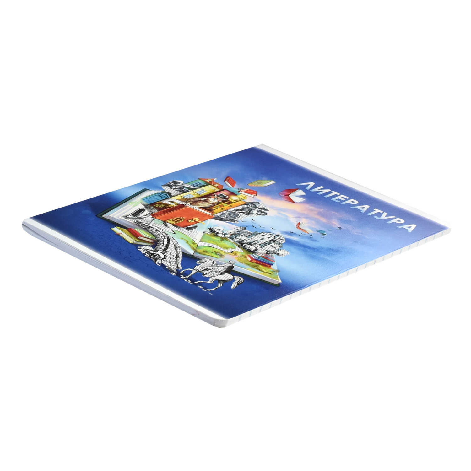 Тетрадь предметная Литература 48л линия ФЕНИКС Книга знаний, арт. 60501