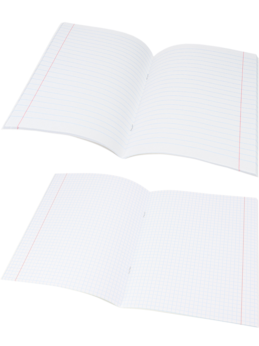 Тетрадь предметная комплект 12шт 48л ПРОФ-ПРЕСС BLACKSOFT, арт. 48-1744