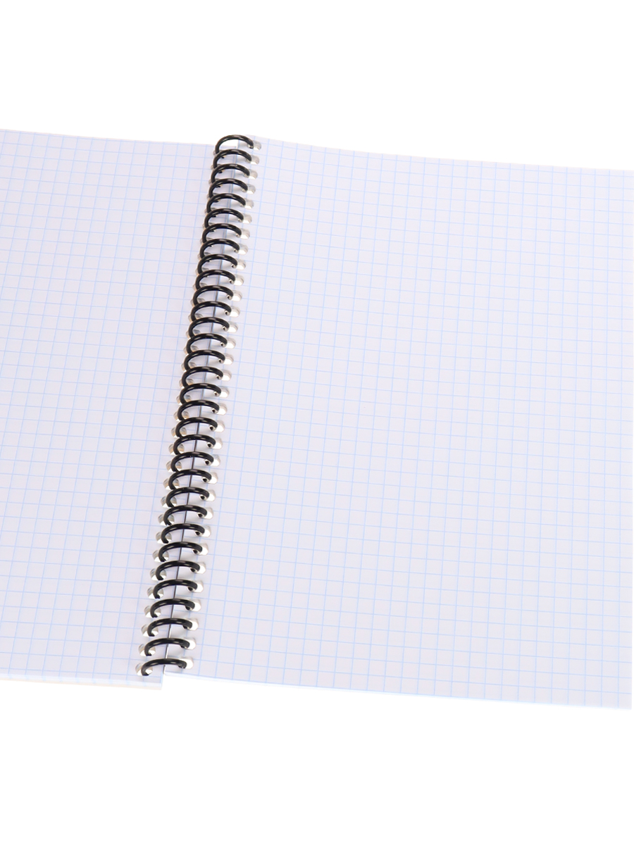 Записная книжка А5 80л клетка спираль ПРОФ-ПРЕСС Картина с котиком, арт. 80-6828