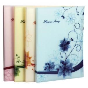 Папка с мультифорами 20стр CENTRUM Цветы , арт. 84124