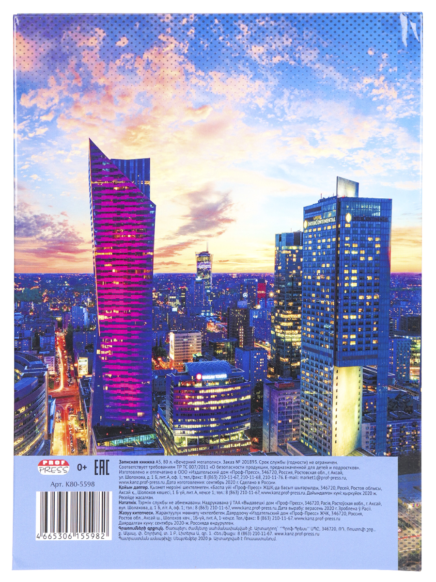 Записная книжка А5 80листов клетка ПРОФ-ПРЕСС Вечерний мегаполис твердая обложка, арт. К80-5598