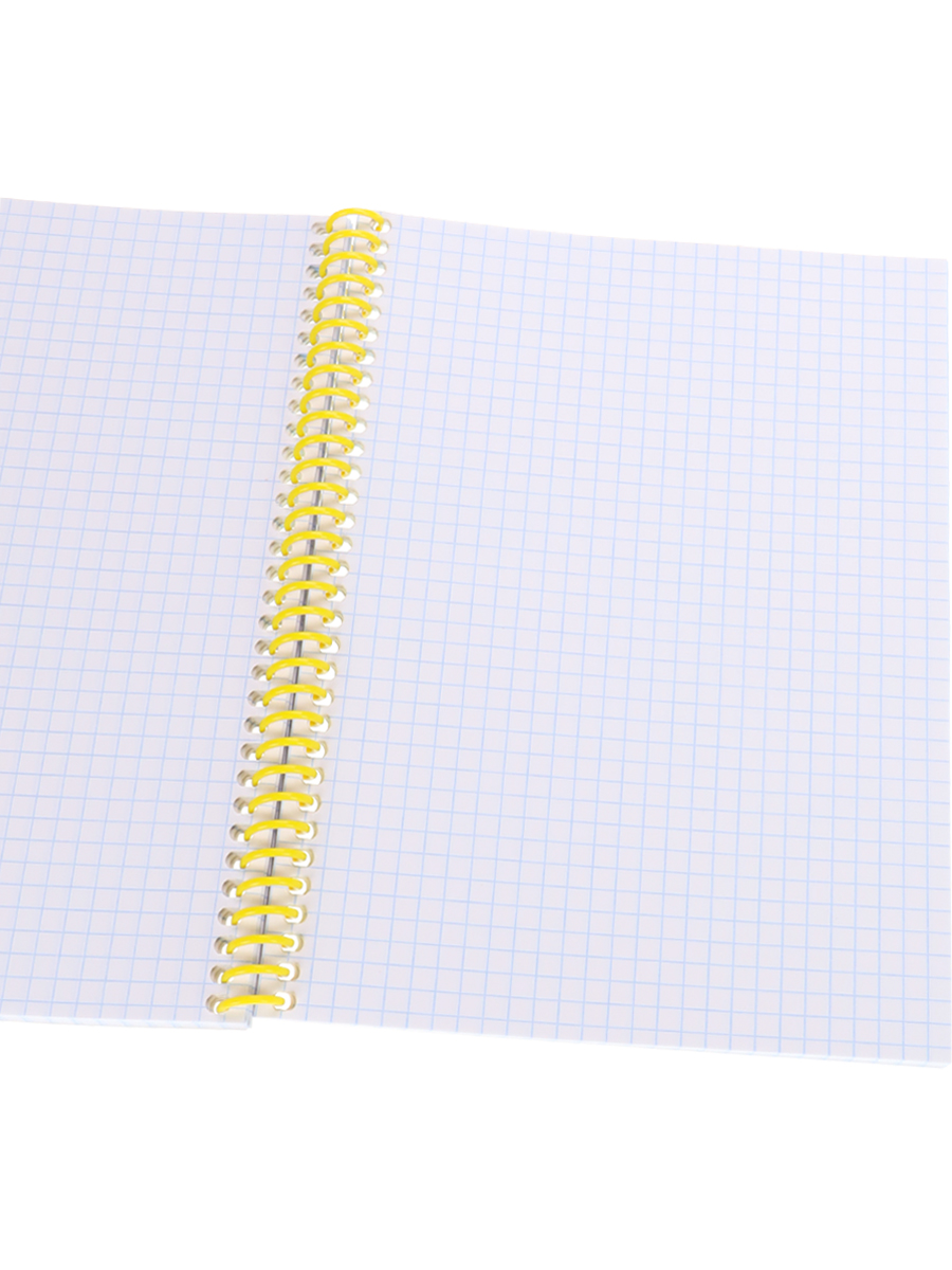 Записная книжка А5 80л клетка спираль ПРОФ-ПРЕСС Мостик в горах, арт. 80-6829