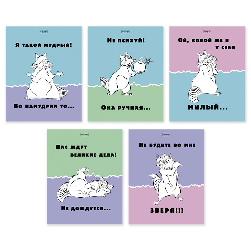 Тетрадь А5 48л клетка ХАТБЕР Еноты ассорти, арт. 48Т5В1