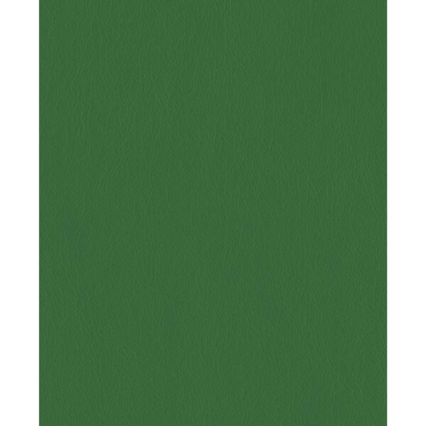 Тетрадь А5 96л клетка LISTOFF бумвинил зеленая, арт. ТБ5968180