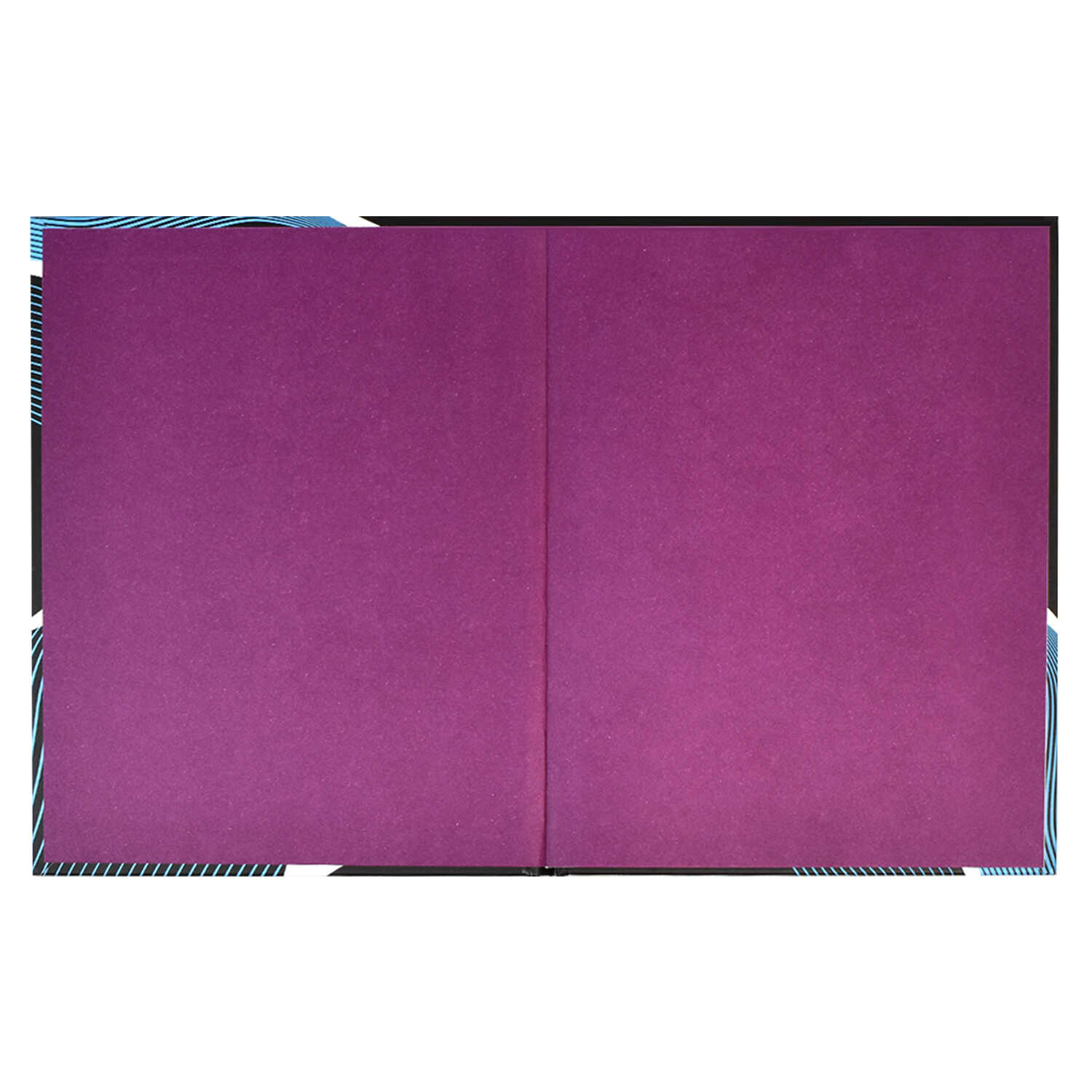 Дневник 1-11 класс твердая обложка ФЕНИКС Футбольный мяч, арт. 60244