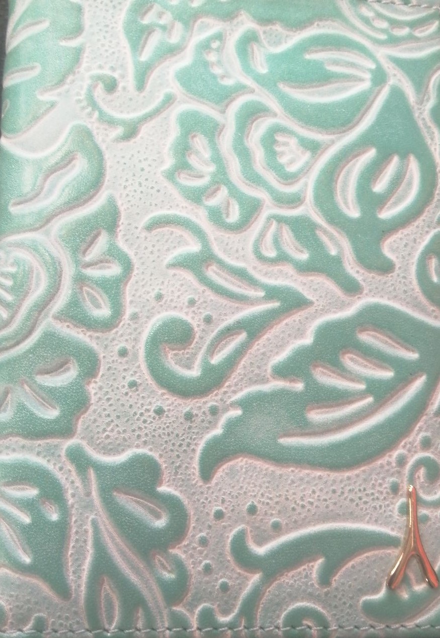 Обложка на водительское удостоверение Pianta ASKENT ментол, арт. BV.32.FR