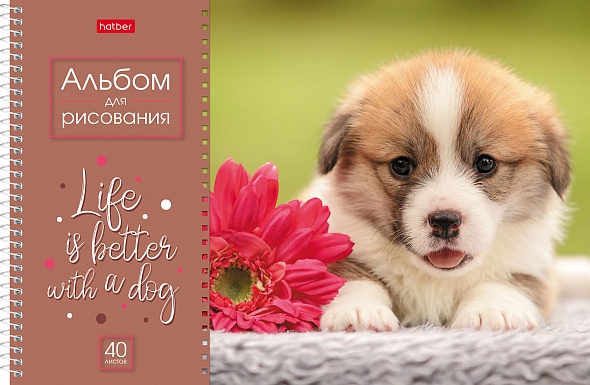 Альбом для рисования 40л спираль ХАТБЕР Doggie Щенки, арт. 40А4Всп
