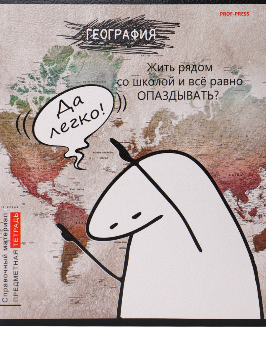 Тетрадь предметная География 48листов клетка ПРОФ-ПРЕСС Школьные мемасики, арт. 48-9649