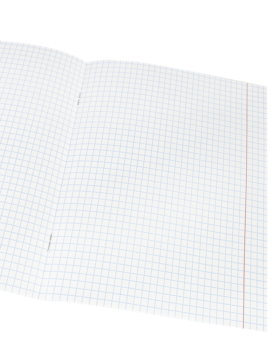 Тетрадь А5 24листа клетка ПРОФ-ПРЕСС Зеленая обложка, арт. 24-5753