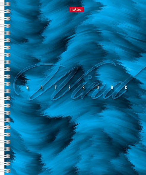 Тетрадь А5 80л клетка спираль ХАТБЕР Ветер ассорти, арт. 80Т5В1гр