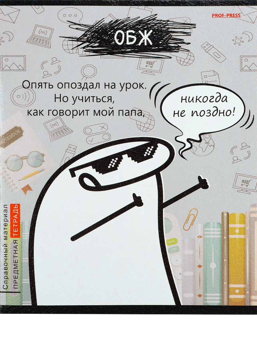 Тетрадь предметная ОБЖ 48листов клетка ПРОФ-ПРЕСС Школьные мемасики, арт. 48-9656