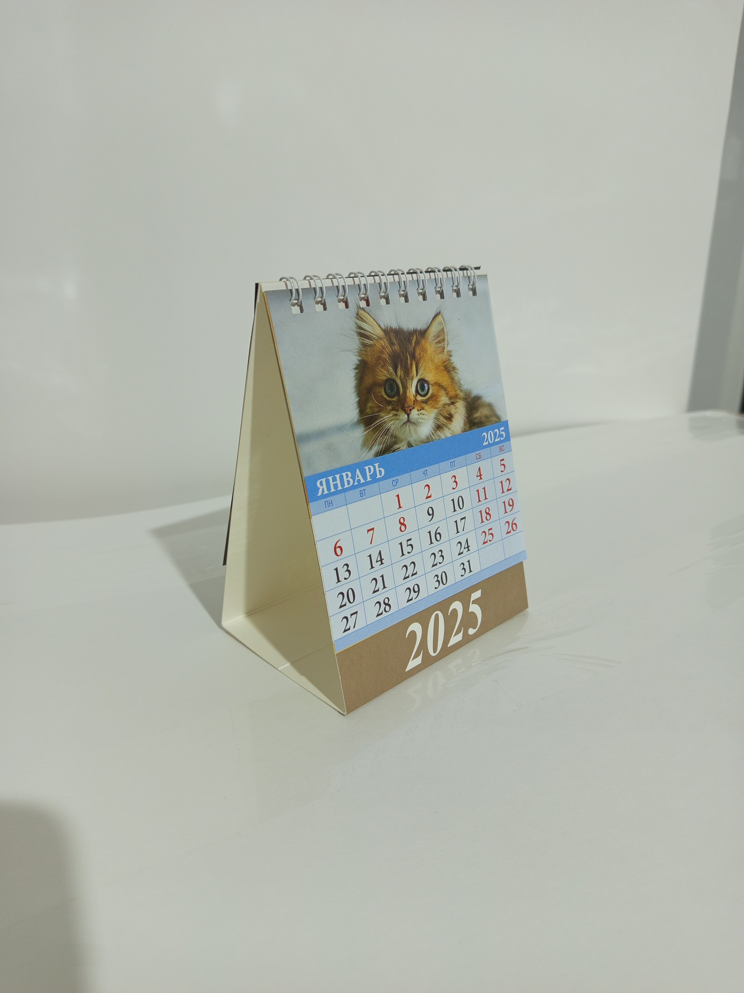 Календарь шалаш 2025г спираль 100*140 Щенки и котята ГРАМОТЕЙ , арт. 02-25010
