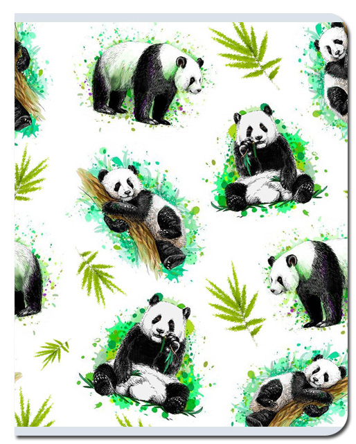 Тетрадь А5 48л клетка FINE BOOKS Хрум-бам-бук, арт. FB273