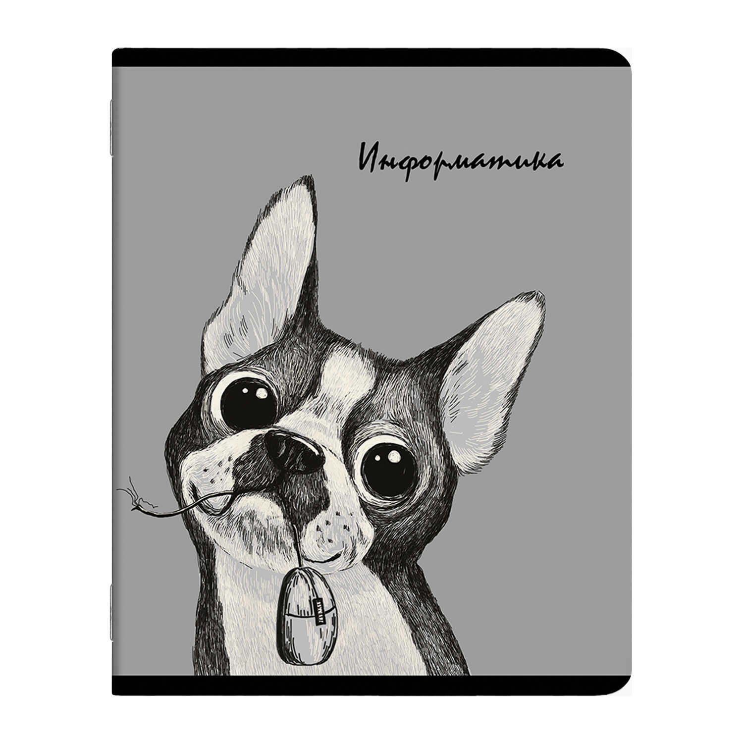 Тетрадь предметная Информатика 48л клетка ФЕНИКС Забавные животные soft touch, арт. 56881