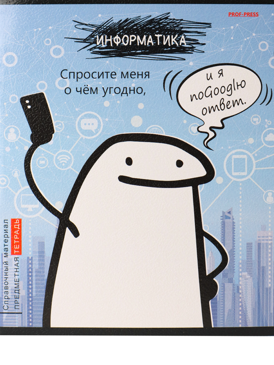 Тетрадь предметная Информатика 48листов клетка ПРОФ-ПРЕСС  Школьные мемасики, арт. 48-9652