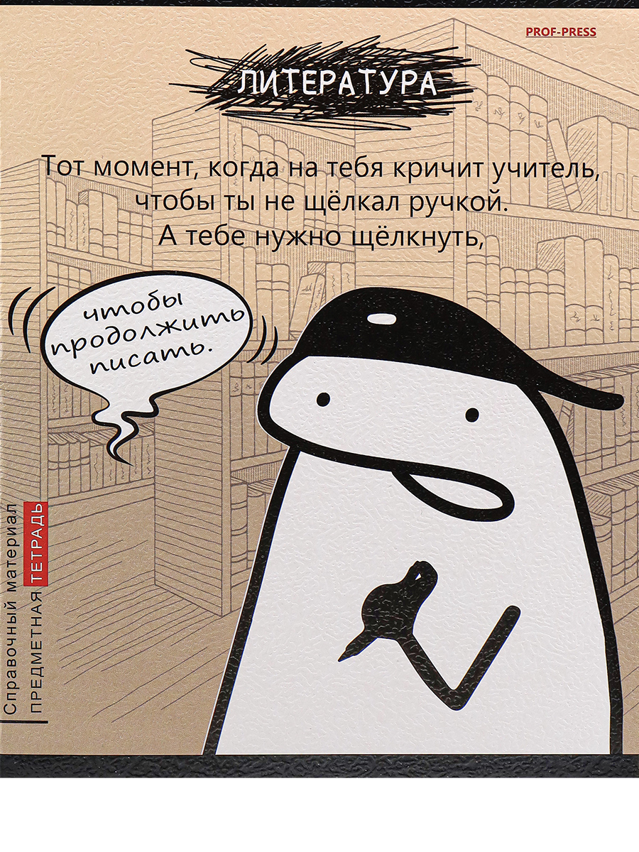 Тетрадь предметная Литература 48л линия ПРОФ-ПРЕСС Школьные мемасики, арт. 48-9660